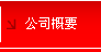 公司概要