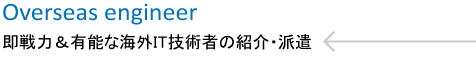 海外からの人材派遣